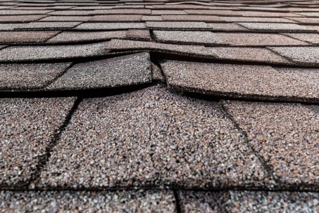 buckled shingles that could lead to a roof leak