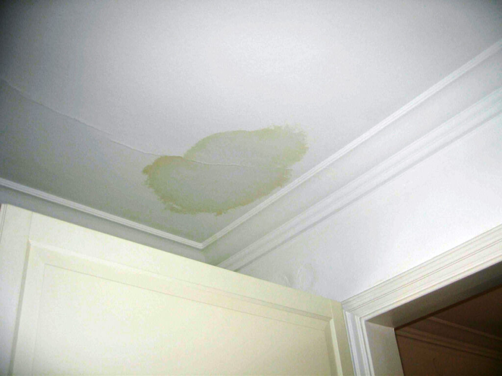 ceiling moisture stain from a roof leak