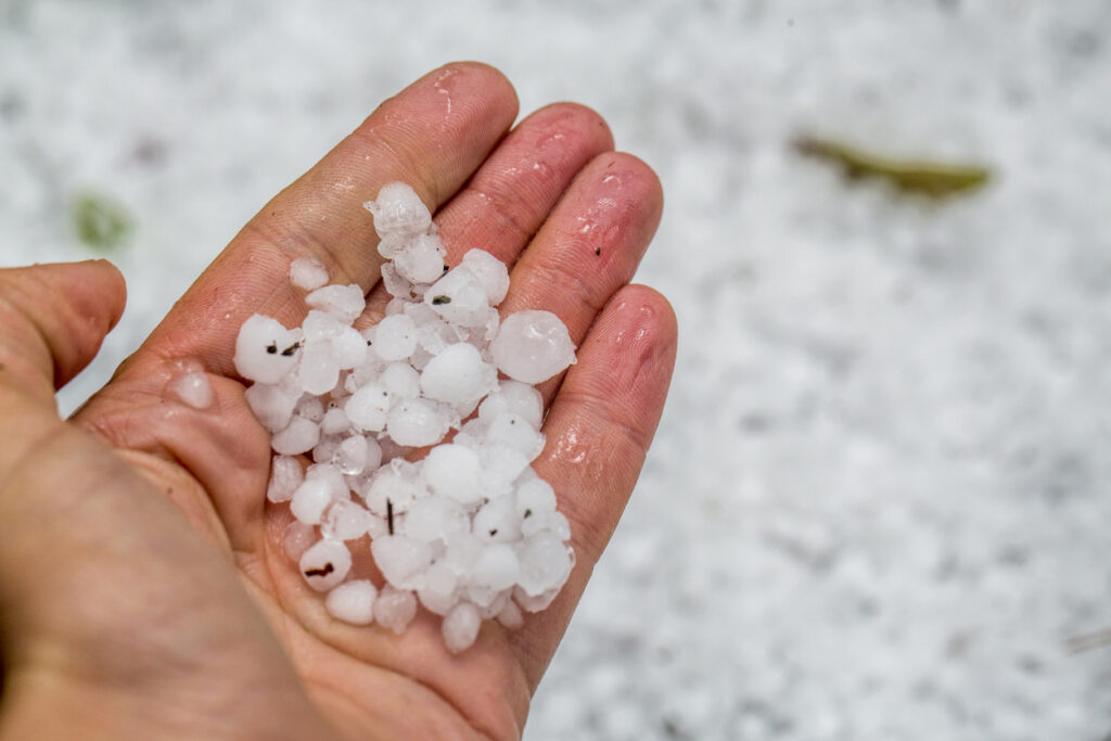 Hail Can Damage Your Shingle Roof