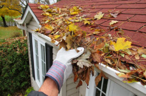 fallen leaves on roof