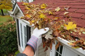 fallen leaves on roof