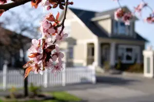 Clyde Nettles Roofing Spring Maintenance Tips