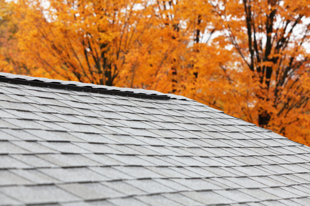 Clyde Nettles Roof in the Fall