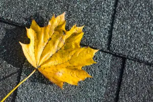 Clyde Nettles Roofing News & Roofing Tips