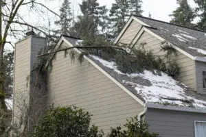 Effects of winter weather on your roof