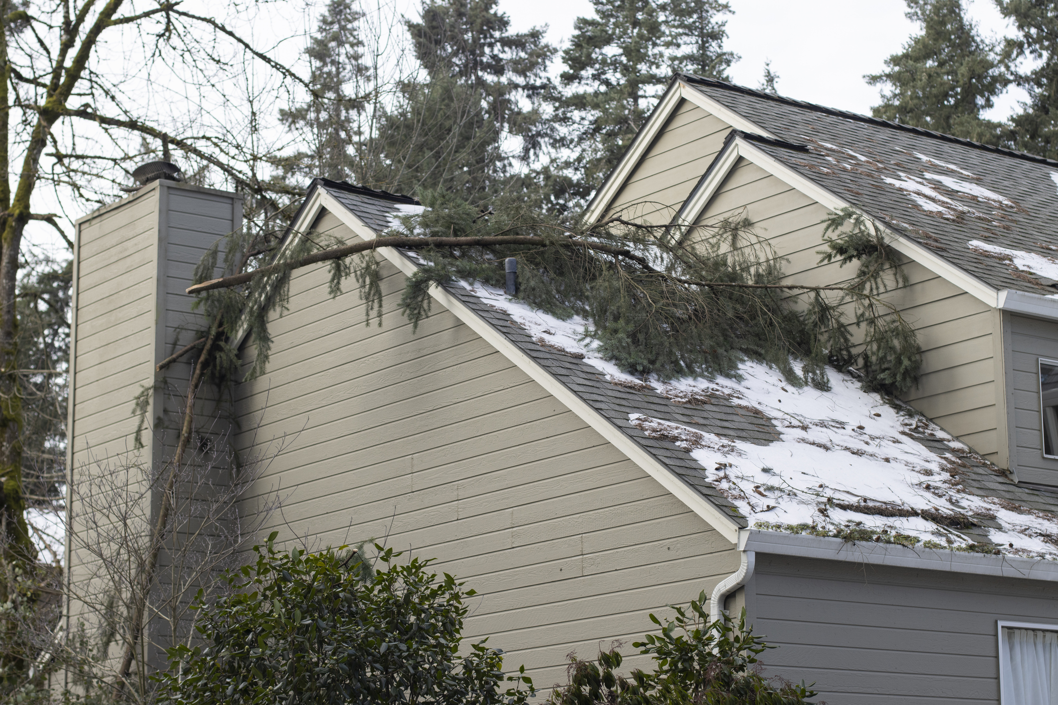 Effects of winter weather on your roof