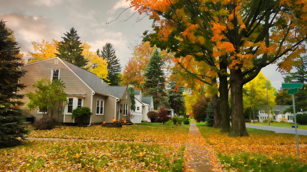 Keep your roof in top shape this fall season in SC