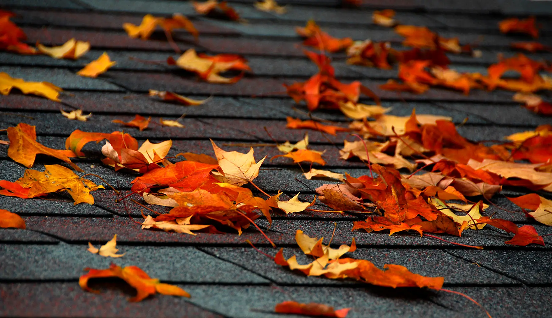 Clyde Nettles Roofing helps you prepare your roof for the fall season