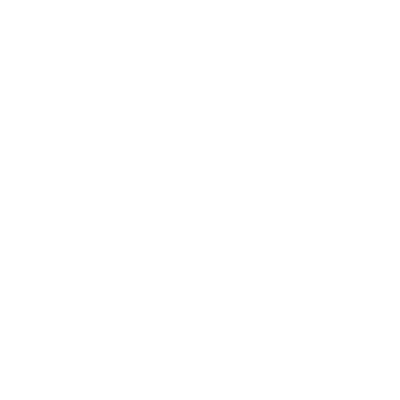 CN logo reversed out