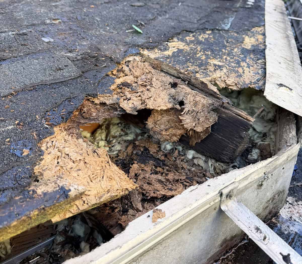 storm damaged roof